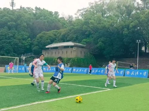 巴黎残奥会：张变夺乒乓球女子单打- WS5级金牌