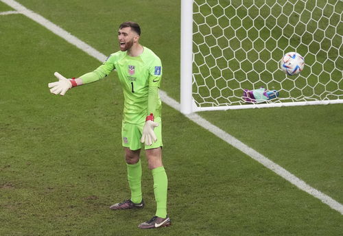 法甲：主场完胜 巴黎圣日耳曼队3-0图卢兹队