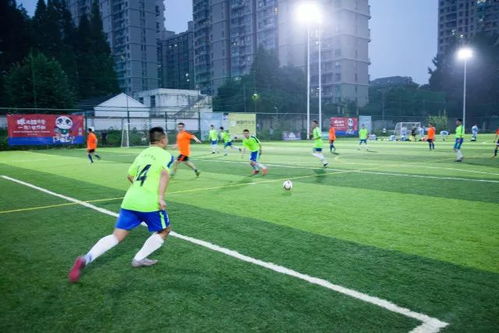 中超：山东泰山队4-2长春亚泰
